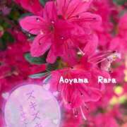 ヒメ日記 2025/04/22 15:42 投稿 青山らら 五十路マダムエクスプレス横浜店（カサブランカグループ）