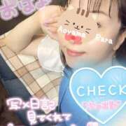 ヒメ日記 2025/04/23 07:42 投稿 青山らら 五十路マダムエクスプレス横浜店（カサブランカグループ）