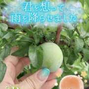 ヒメ日記 2025/06/14 21:16 投稿 青山らら 五十路マダムエクスプレス横浜店（カサブランカグループ）