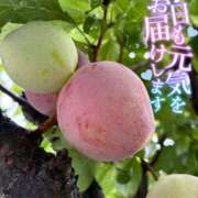 ヒメ日記 2025/06/30 11:02 投稿 青山らら 五十路マダムエクスプレス横浜店（カサブランカグループ）