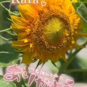 ヒメ日記 2025/07/23 16:16 投稿 青山らら 五十路マダムエクスプレス横浜店（カサブランカグループ）