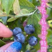 ヒメ日記 2025/07/30 15:32 投稿 青山らら 五十路マダムエクスプレス横浜店（カサブランカグループ）