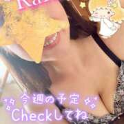 ヒメ日記 2025/08/11 09:16 投稿 青山らら 五十路マダムエクスプレス横浜店（カサブランカグループ）