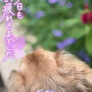 ヒメ日記 2025/09/12 18:10 投稿 青山らら 五十路マダムエクスプレス横浜店（カサブランカグループ）