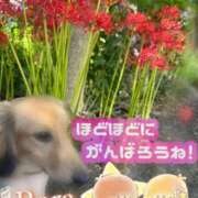 ヒメ日記 2025/09/22 15:02 投稿 青山らら 五十路マダムエクスプレス横浜店（カサブランカグループ）