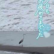 ヒメ日記 2025/09/22 18:34 投稿 青山らら 五十路マダムエクスプレス横浜店（カサブランカグループ）