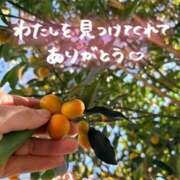 ヒメ日記 2025/11/20 14:32 投稿 青山らら 五十路マダムエクスプレス横浜店（カサブランカグループ）