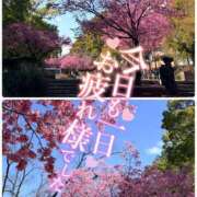 ヒメ日記 2026/03/04 18:06 投稿 青山らら 五十路マダムエクスプレス横浜店（カサブランカグループ）