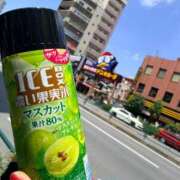 ヒメ日記 2026/05/14 12:32 投稿 青山らら 五十路マダムエクスプレス横浜店（カサブランカグループ）