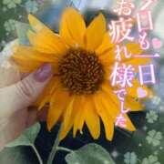 ヒメ日記 2026/09/04 17:40 投稿 青山らら 五十路マダムエクスプレス横浜店（カサブランカグループ）
