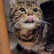 ヒメ日記 2025/01/31 22:29 投稿 なの ドマーニ