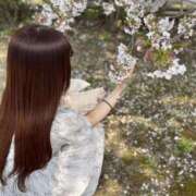 ヒメ日記 2025/07/09 12:31 投稿 なの ドマーニ