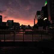 ヒメ日記 2025/09/08 14:33 投稿 なの ドマーニ