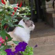 ヒメ日記 2025/10/07 20:32 投稿 なの ドマーニ