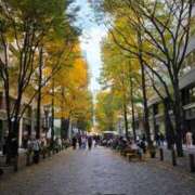 ヒメ日記 2025/11/24 17:53 投稿 なの ドマーニ