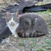 なの お休みになりました🙇🏻‍♀️ ドマーニ