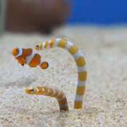 ヒメ日記 2026/01/10 14:19 投稿 なの ドマーニ