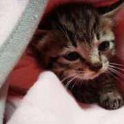 ヒメ日記 2026/03/03 14:08 投稿 なの ドマーニ