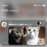 ヒメ日記 2026/07/05 02:12 投稿 なの ドマーニ