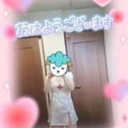 ヒメ日記 2024/12/28 07:54 投稿 さくら 仙南 愛ランド（白石、柴田、岩沼、名取）