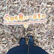 ヒメ日記 2025/01/19 11:44 投稿 さくら 仙南 愛ランド（白石、柴田、岩沼、名取）