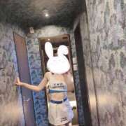 ヒメ日記 2025/05/02 17:05 投稿 さくら 仙南 愛ランド（白石、柴田、岩沼、名取）