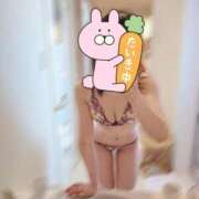 ヒメ日記 2025/05/25 13:14 投稿 さくら 仙南 愛ランド（白石、柴田、岩沼、名取）