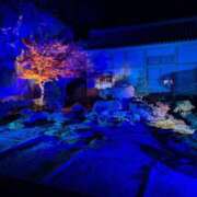 ヒメ日記 2025/11/22 23:34 投稿 さくら 仙南 愛ランド（白石、柴田、岩沼、名取）