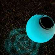 ヒメ日記 2025/11/24 21:44 投稿 さくら 仙南 愛ランド（白石、柴田、岩沼、名取）