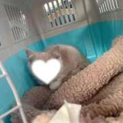 ヒメ日記 2025/01/11 08:48 投稿 里見こはな【素人系・美爆乳】 ソープランド メイド館 ラ・メイド