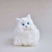 ヒメ日記 2025/02/03 12:12 投稿 里見こはな【素人系・美爆乳】 ソープランド メイド館 ラ・メイド