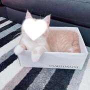 ヒメ日記 2025/02/20 11:20 投稿 里見こはな【素人系・美爆乳】 ソープランド メイド館 ラ・メイド