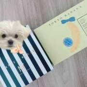 ヒメ日記 2025/04/12 14:19 投稿 里見こはな【素人系・美爆乳】 ソープランド メイド館 ラ・メイド