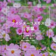 ヒメ日記 2025/04/29 17:20 投稿 里見こはな【素人系・美爆乳】 ソープランド メイド館 ラ・メイド