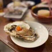 ヒメ日記 2025/04/29 22:49 投稿 里見こはな【素人系・美爆乳】 ソープランド メイド館 ラ・メイド