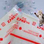 ヒメ日記 2025/05/15 14:03 投稿 里見こはな【素人系・美爆乳】 ソープランド メイド館 ラ・メイド