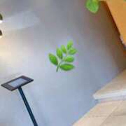 ヒメ日記 2025/12/03 12:33 投稿 里見こはな【素人系・美爆乳】 ソープランド メイド館 ラ・メイド