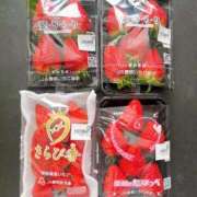 ヒメ日記 2026/02/14 12:20 投稿 里見こはな【素人系・美爆乳】 ソープランド メイド館 ラ・メイド