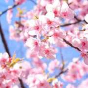 ヒメ日記 2026/03/20 10:00 投稿 里見こはな【素人系・美爆乳】 ソープランド メイド館 ラ・メイド