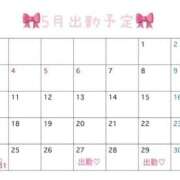 ヒメ日記 2026/05/26 09:46 投稿 里見こはな【素人系・美爆乳】 ソープランド メイド館 ラ・メイド
