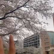 ヒメ日記 2025/02/13 22:32 投稿 蜜蟻いち Mrs. Dandy