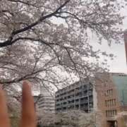 ヒメ日記 2025/08/21 10:58 投稿 蜜蟻いち Mrs. Dandy