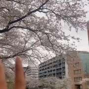 ヒメ日記 2025/09/11 16:44 投稿 蜜蟻いち Mrs. Dandy