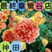 ヒメ日記 2025/05/18 02:56 投稿 神田 熟女の風俗最終章　鶯谷店