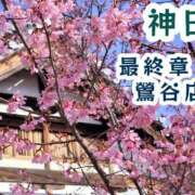 ヒメ日記 2026/03/08 16:16 投稿 神田 熟女の風俗最終章　鶯谷店
