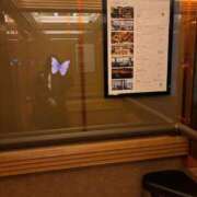 ヒメ日記 2025/02/23 16:40 投稿 みお 横浜人妻ヒットパレード（シンデレラグループ）