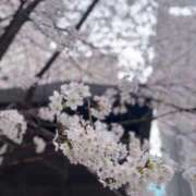 ヒメ日記 2026/04/10 12:00 投稿 まりあ 手コキ＆オナクラ 大阪はまちゃん 梅田店