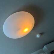 ヒメ日記 2024/12/19 09:50 投稿 浅野 熟女の風俗最終章　鶯谷店