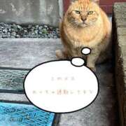 ヒメ日記 2025/03/13 23:20 投稿 浅野 熟女の風俗最終章　鶯谷店