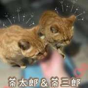 ヒメ日記 2025/03/29 03:00 投稿 浅野 熟女の風俗最終章　鶯谷店